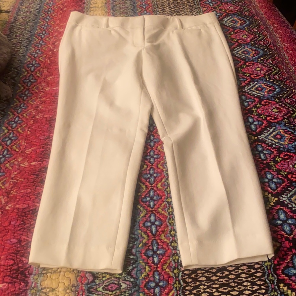 The Loft Cropped Dress Pant Brand New with Tags